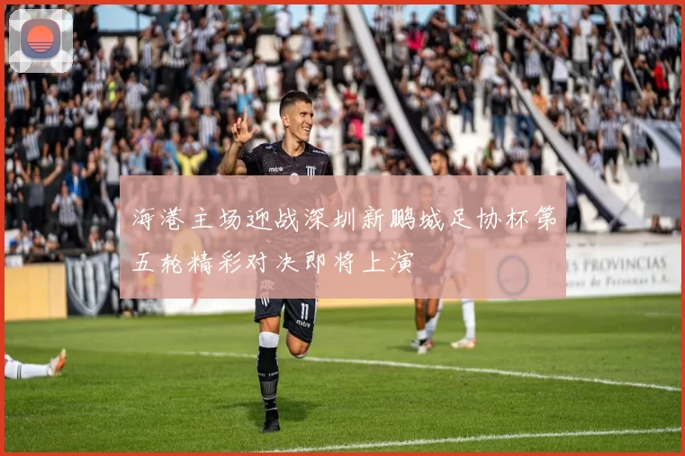 海港主场迎战深圳新鹏城足协杯第五轮精彩对决即将上演